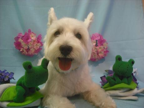 ファイル 3898-1.jpg