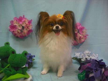 ファイル 3899-2.jpg