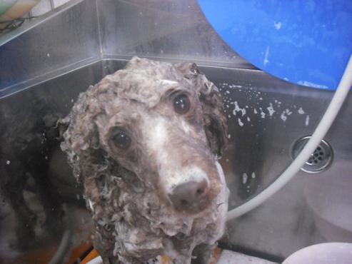 ファイル 39-2.jpg