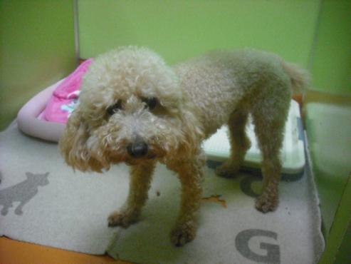 ファイル 390-2.jpg