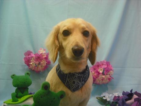 ファイル 3900-1.jpg