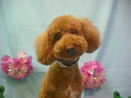 ファイル 3901-2.jpg