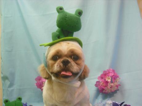 ファイル 3902-1.jpg