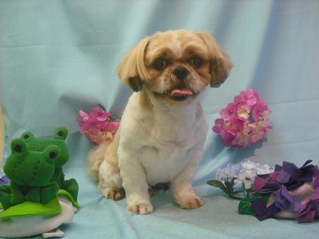 ファイル 3902-2.jpg