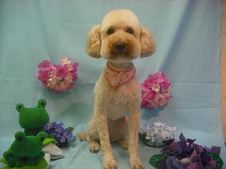 ファイル 3903-2.jpg