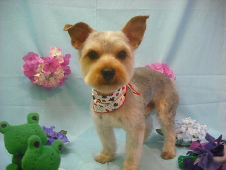 ファイル 3904-2.jpg