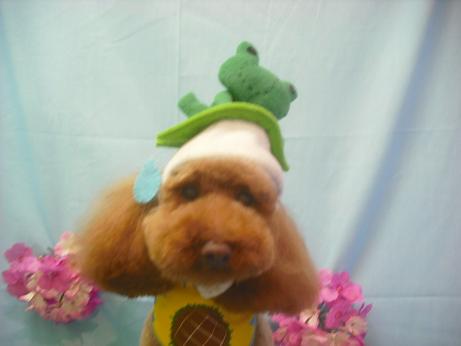 ファイル 3905-1.jpg