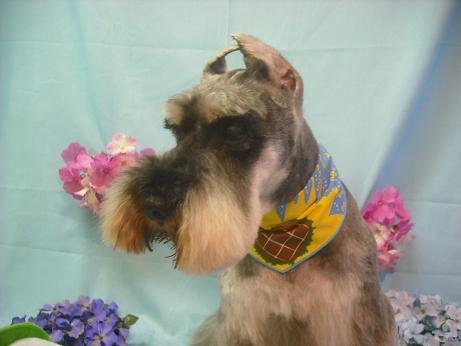 ファイル 3906-2.jpg