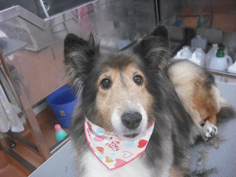 ファイル 3907-2.jpg