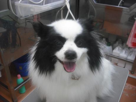 ファイル 3908-2.jpg