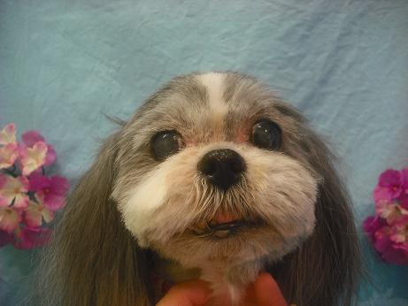 ファイル 3909-2.jpg