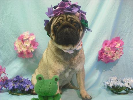 ファイル 3910-1.jpg