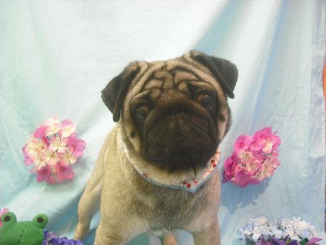 ファイル 3910-2.jpg