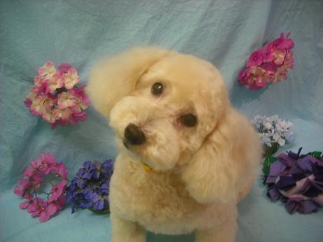 ファイル 3911-2.jpg