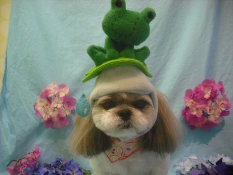 ファイル 3912-1.jpg