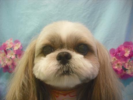 ファイル 3912-2.jpg