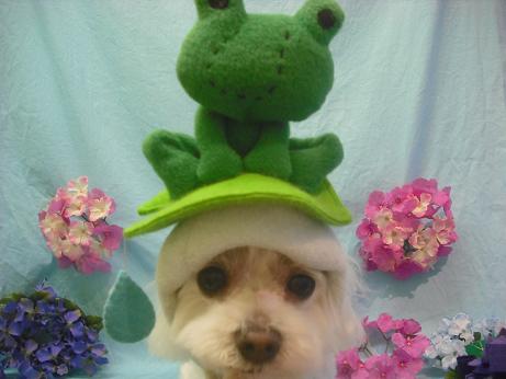 ファイル 3913-1.jpg