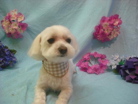 ファイル 3913-2.jpg