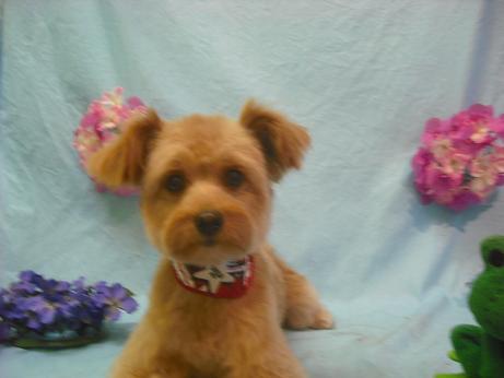 ファイル 3915-2.jpg