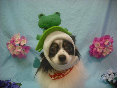 ファイル 3916-1.jpg