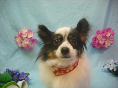 ファイル 3916-2.jpg