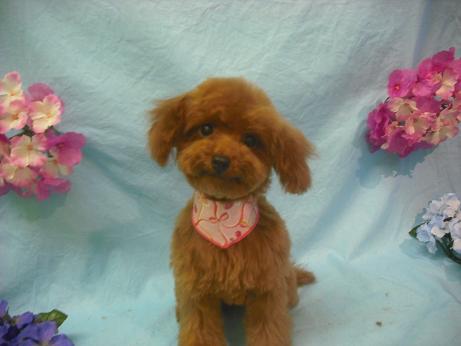 ファイル 3917-2.jpg