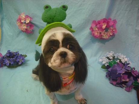 ファイル 3918-1.jpg