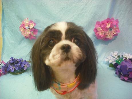 ファイル 3918-2.jpg