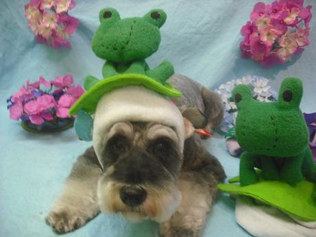 ファイル 3919-1.jpg