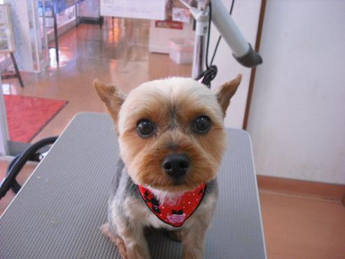 ファイル 392-1.jpg