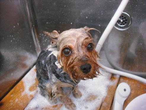 ファイル 392-2.jpg