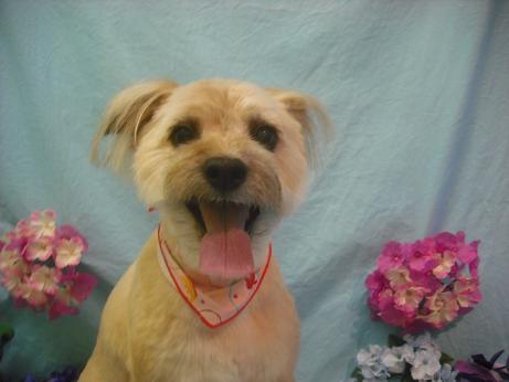 ファイル 3920-2.jpg