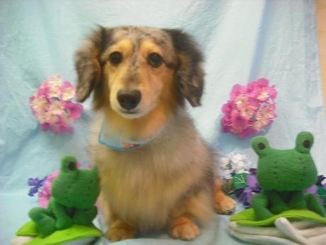 ファイル 3921-2.jpg