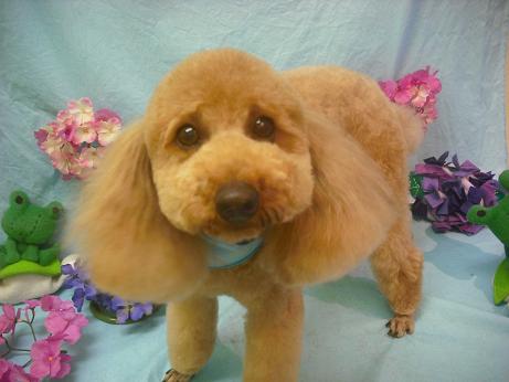 ファイル 3922-2.jpg