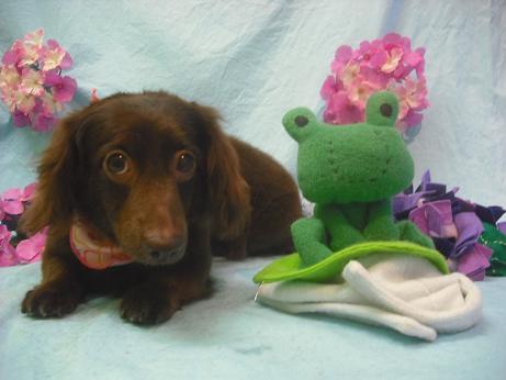 ファイル 3923-2.jpg