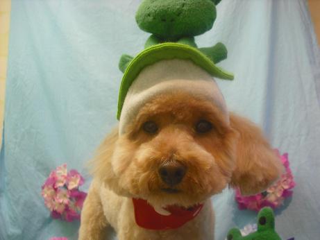 ファイル 3924-1.jpg