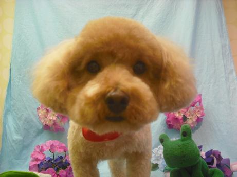 ファイル 3924-2.jpg