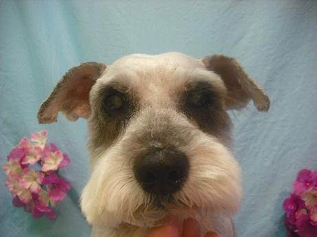 ファイル 3925-1.jpg