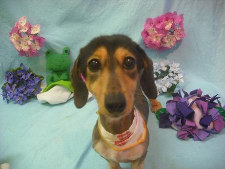 ファイル 3927-1.jpg