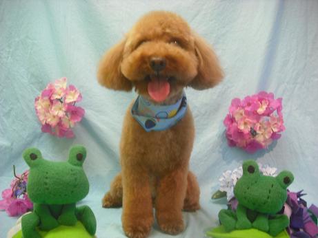 ファイル 3929-1.jpg