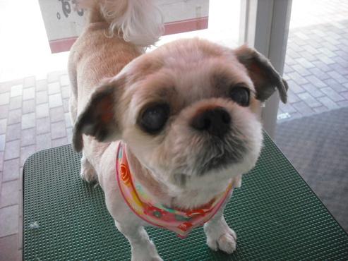 ファイル 393-1.jpg