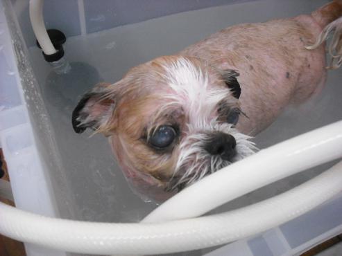 ファイル 393-2.jpg