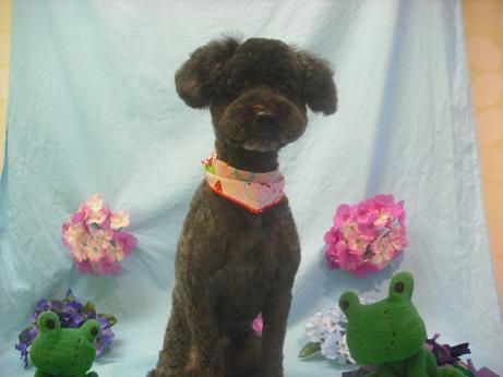 ファイル 3931-1.jpg