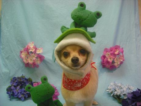 ファイル 3932-1.jpg