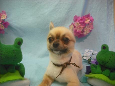 ファイル 3935-1.jpg