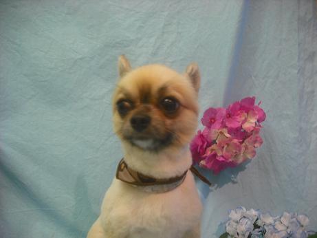 ファイル 3935-2.jpg