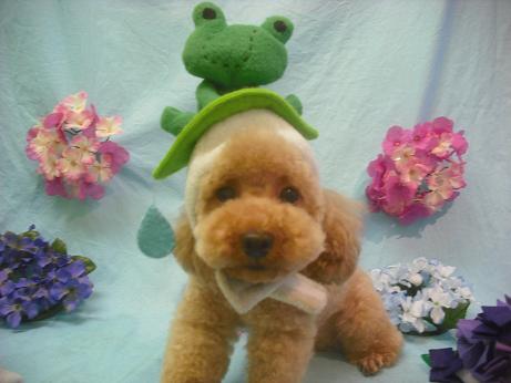 ファイル 3936-1.jpg