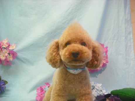 ファイル 3936-2.jpg