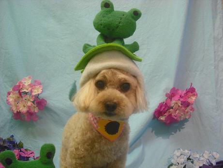 ファイル 3937-1.jpg