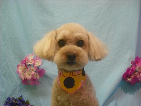 ファイル 3937-2.jpg